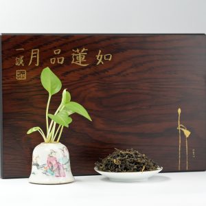 云系列-古树晒红